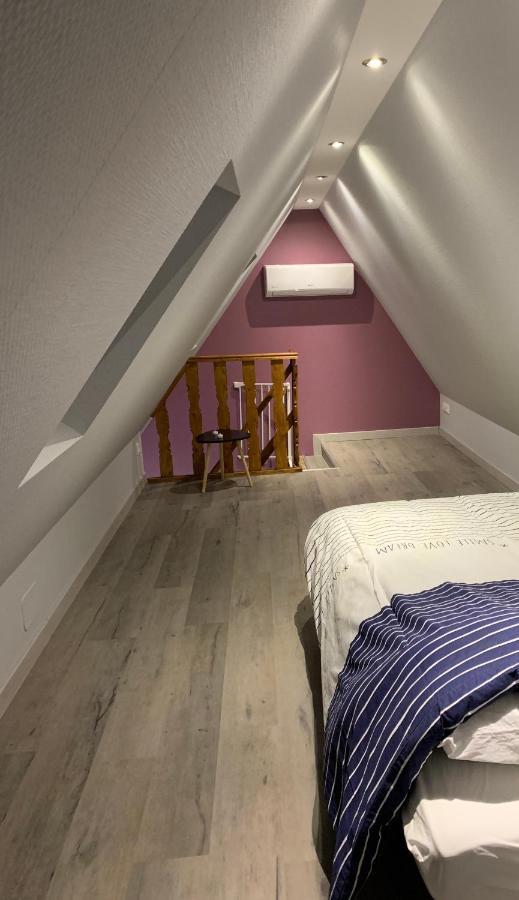 Appartement Du Figuier 4 à 6 Personnes Centre-alsace Sélestat