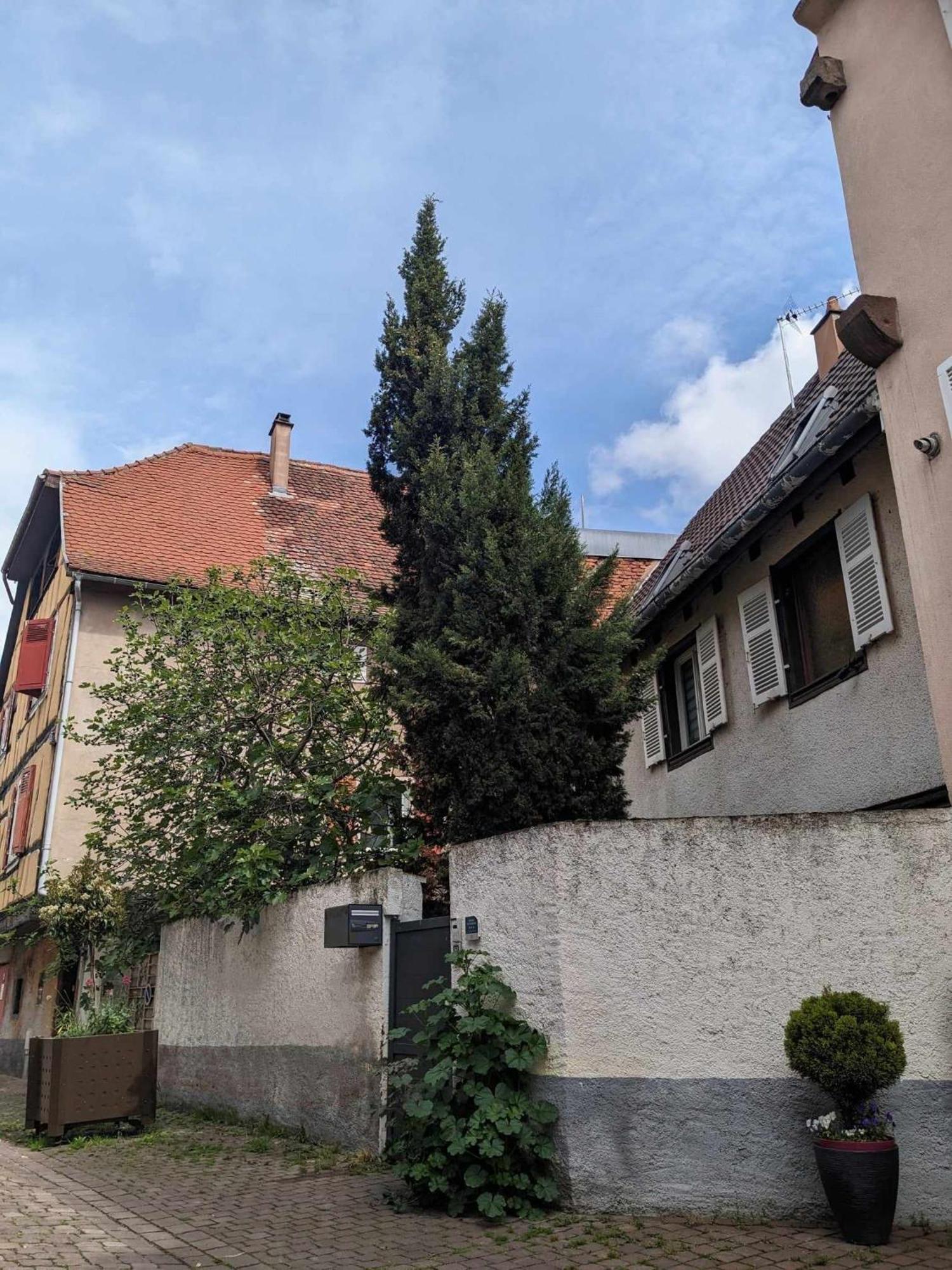 Du Figuier 4 à 6 Personnes Centre-alsace