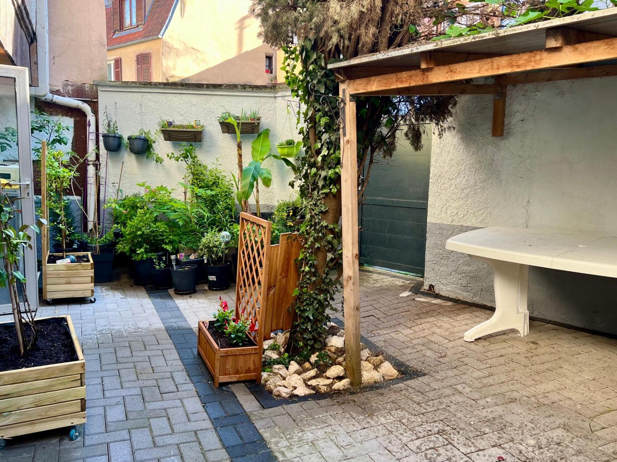 Du Figuier 4 à 6 Personnes Centre-alsace Appartement