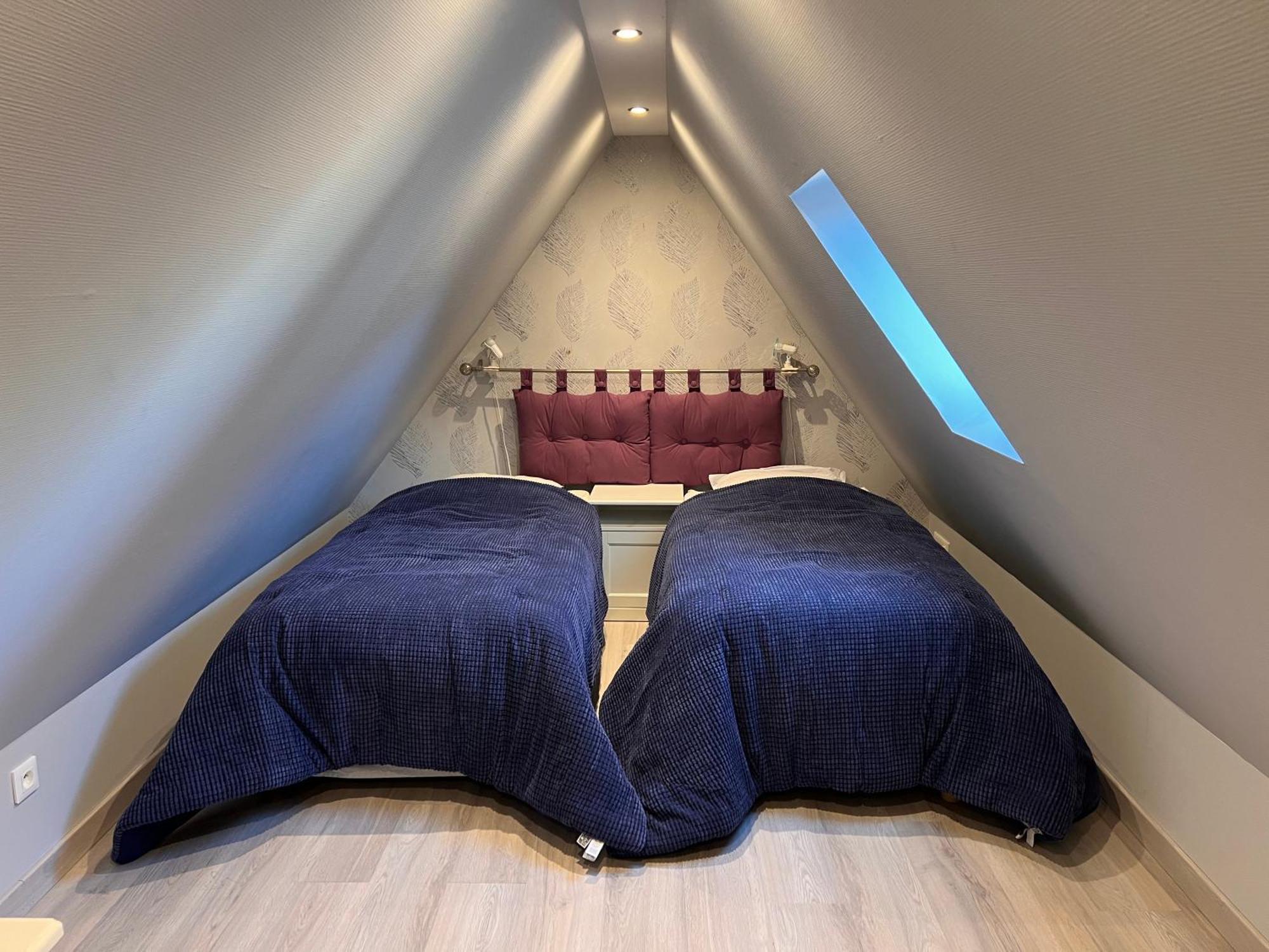 Appartement Du Figuier 4 à 6 Personnes Centre-alsace Sélestat